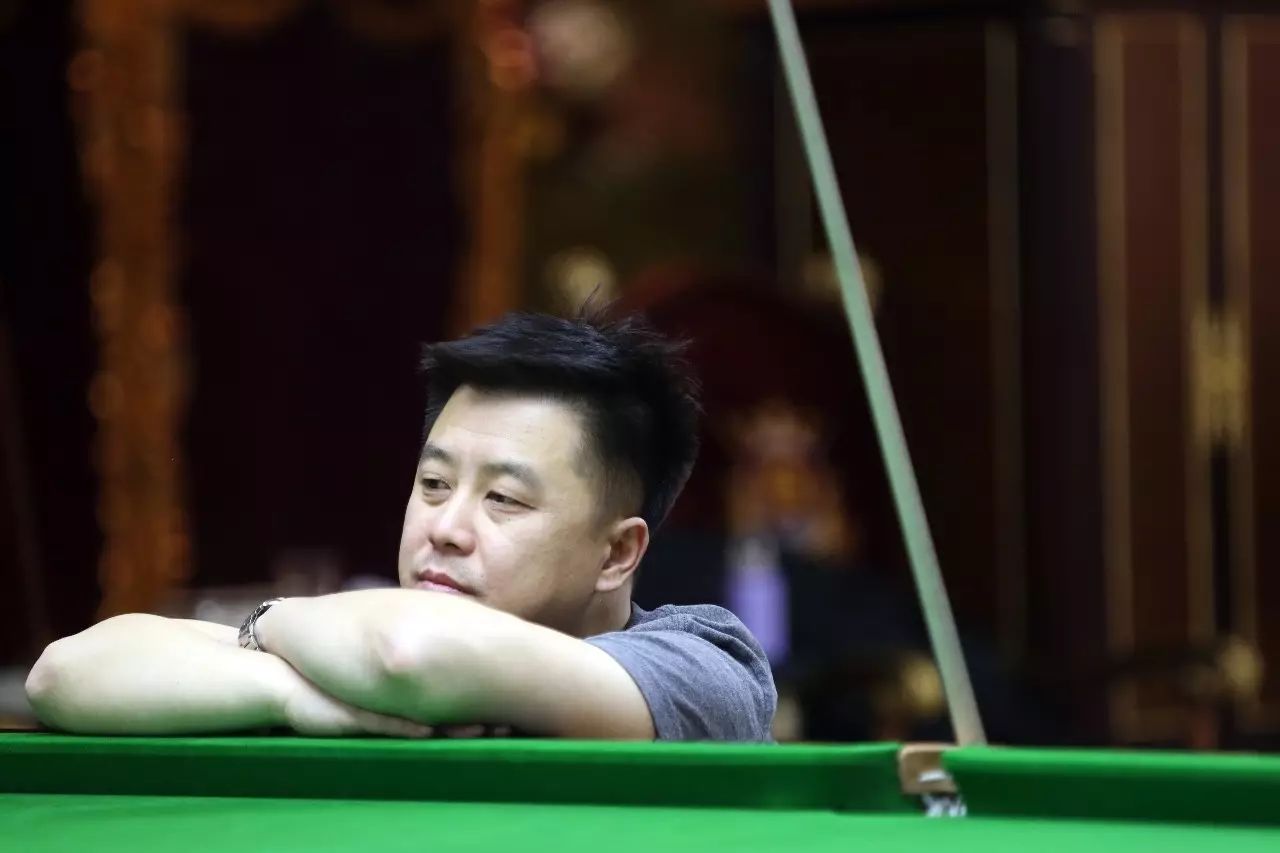 他们似乎已 他们似乎已