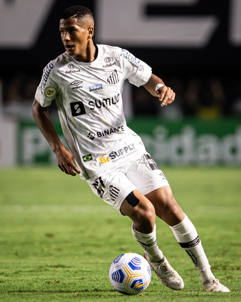 案例分析 案例分析