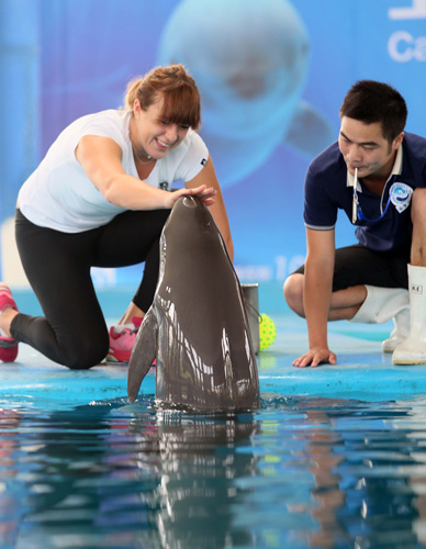 奇的到来 奇的到来